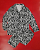 Картинка Пижама чб принт зебра от магазина LonnaMag